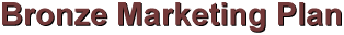 bronze website marketing plan