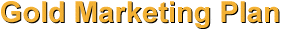 gold website marketing plan